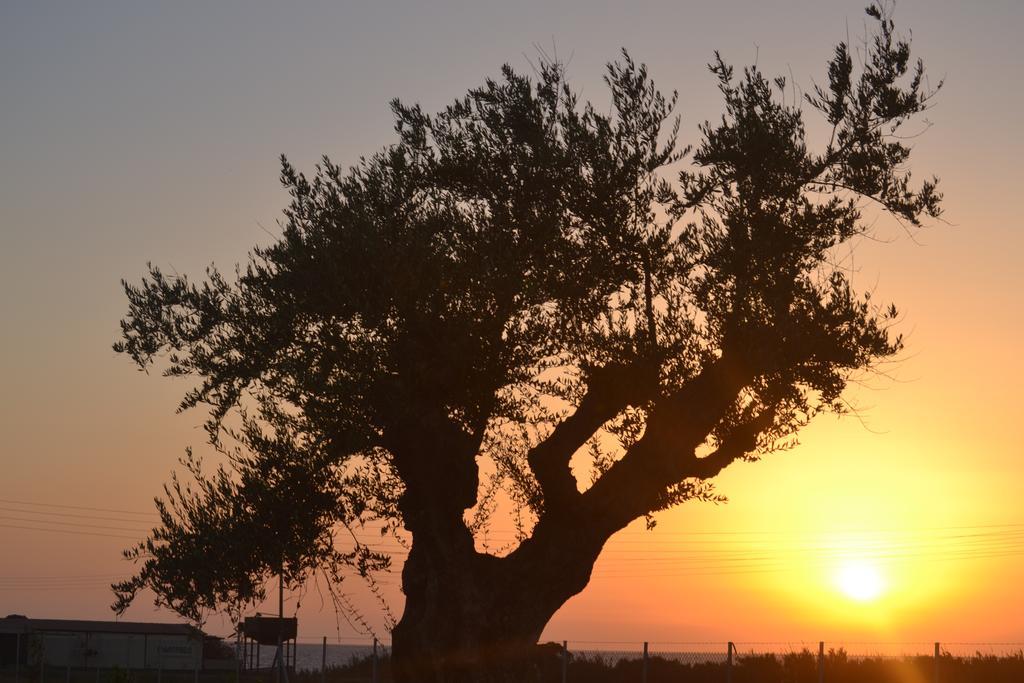 Edem Suites Marathopoli Buitenkant foto